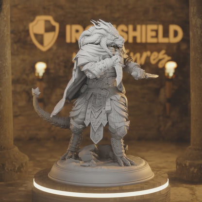 Dragonborn Assassin Rogue - Umbrascale Warrior
