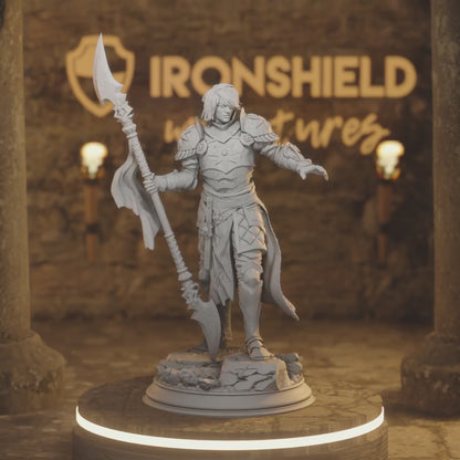 Vendimar Elf Fighter, Paladin DnD miniature 3D printed resin tabletop RPG figure