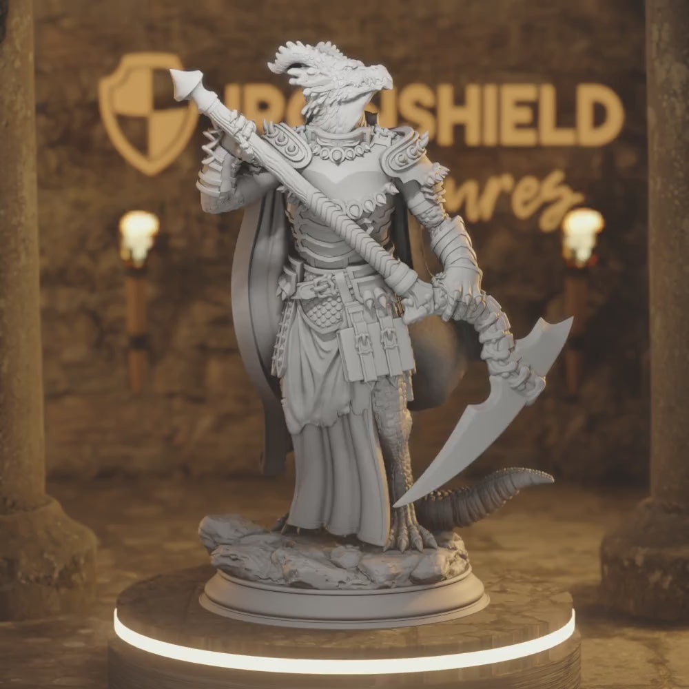 Ilvias Beastfolk Dragon Cleric Warrior — 360° rotating view of 3D printed DnD miniature