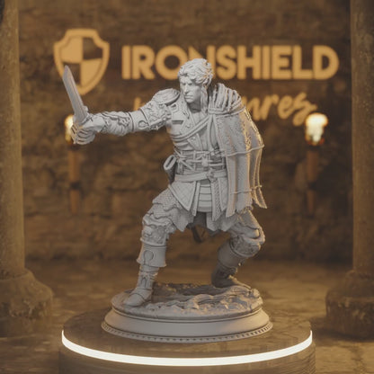 Corin Elf Rogue Rogue Warrior Fighter — 360° rotating view of 3D printed DnD miniature
