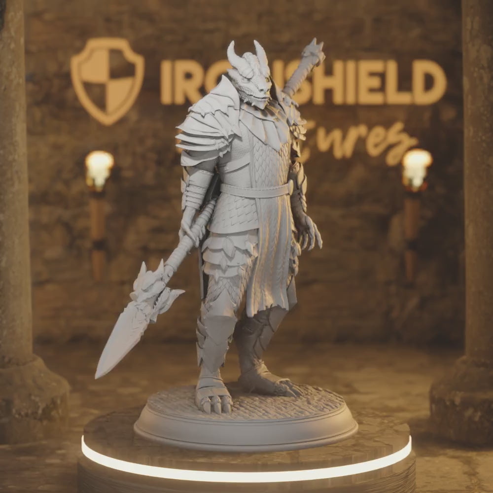 Dragonborn Warriors - Dragon Knight Spear Fighter — 360° rotating view of 3D printed DnD miniature