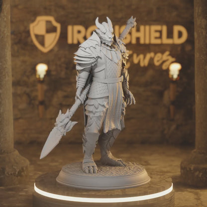 Dragonborn Warriors - Dragon Knight Spear Fighter — 360° rotating view of 3D printed DnD miniature
