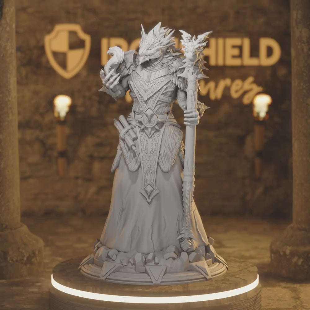 Dragonborn Wild Sorcerer - Artizak Lich — 360° rotating view of 3D printed DnD miniature