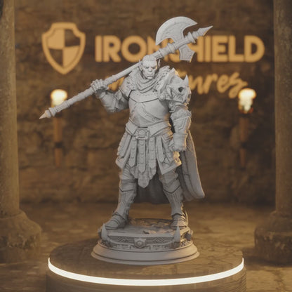 Trenon Orc Barbarian Knight Paladin