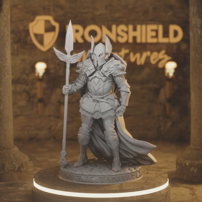 Sycamore Human Fighter DnD miniature 3D printed resin tabletop RPG figure knight with eagle wings