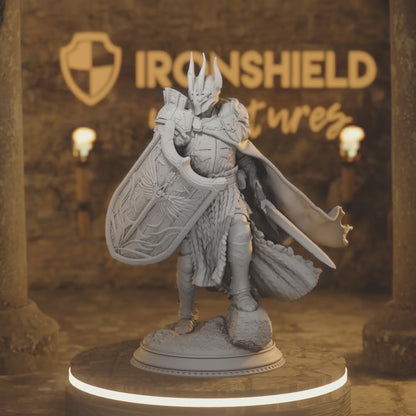 Caedes Enlightened Paladin of Justice Fighter