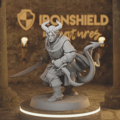 Hellswake wayfarer 1 Tiefling Rogue DnD miniature 3D printed resin tabletop RPG figure
