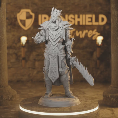 Artorian High Elf King Paladin Wizard — 360° rotating view of 3D printed DnD miniature
