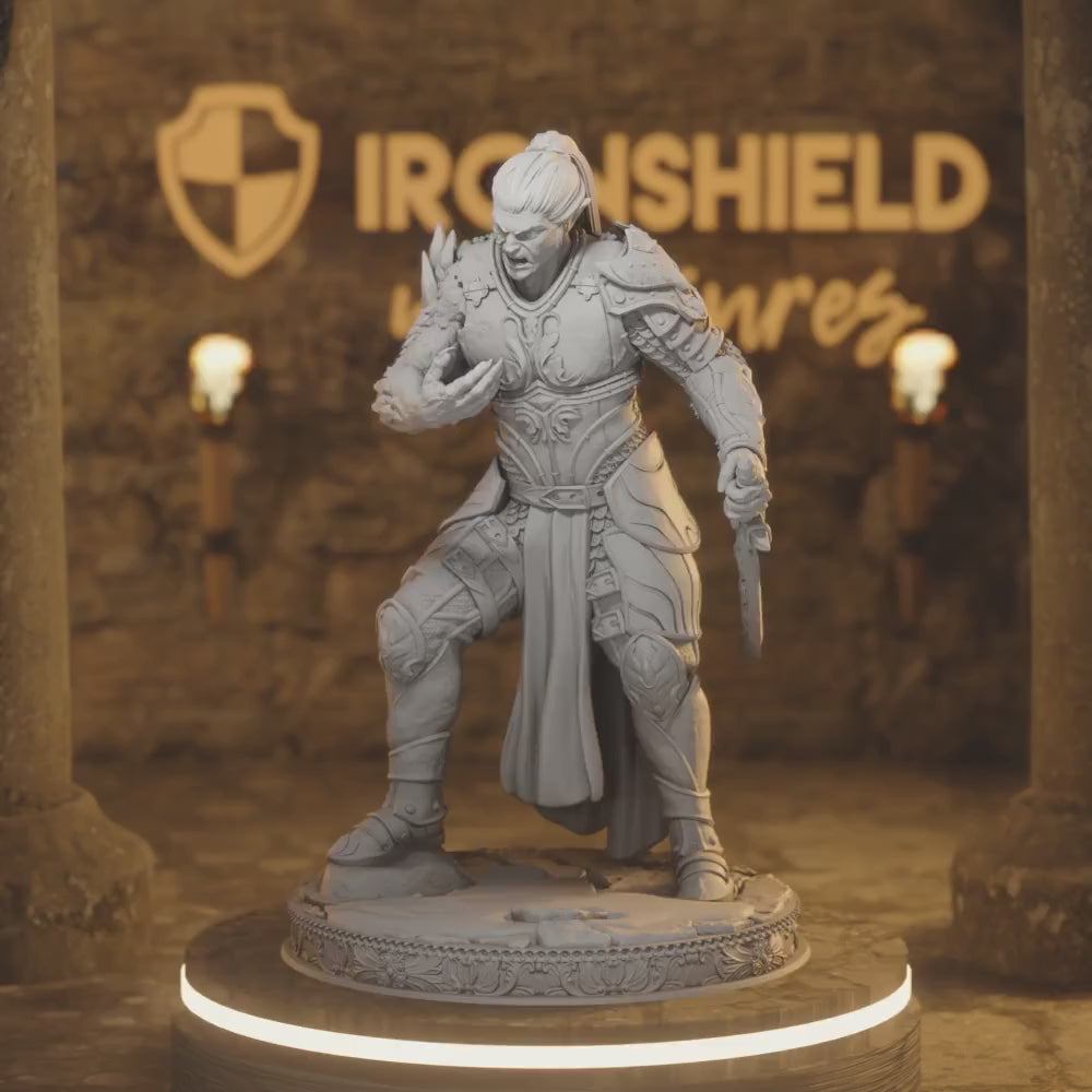 Ash Of Goltia Human Paladin DnD miniature 3D printed resin tabletop RPG figure