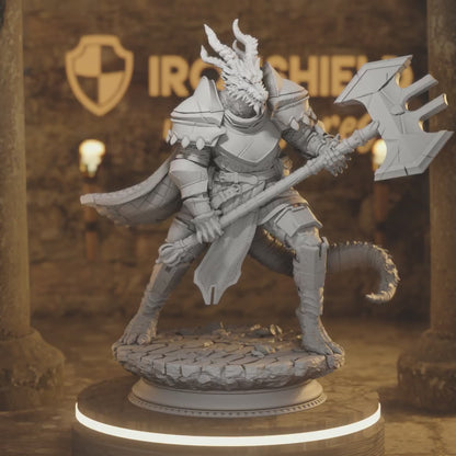 Azmordion Beastfolk Dragon Barbarian Fight — 360° rotating view of 3D printed DnD miniature