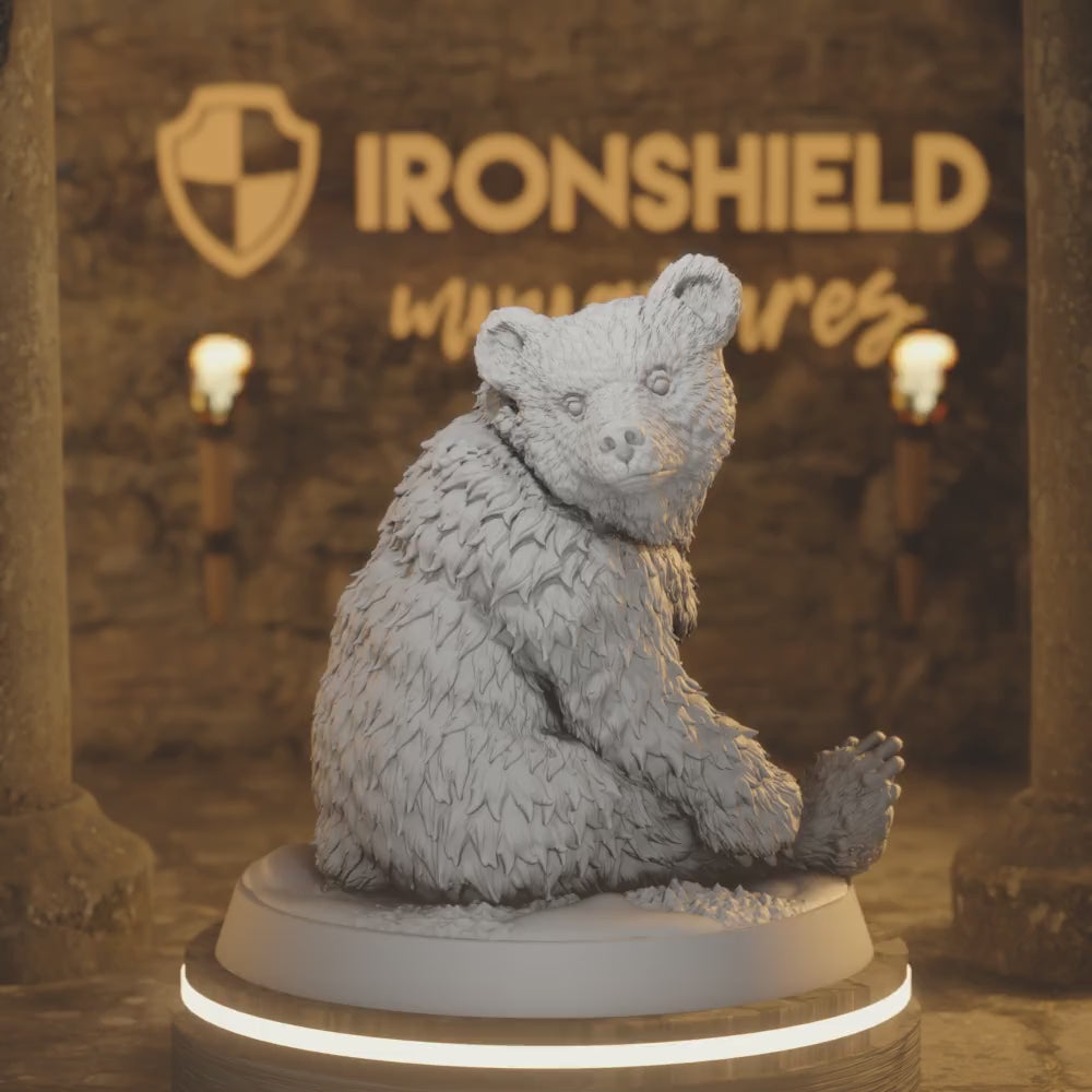 Bear Cub Sitting & Standing – Cute Animal Beast Companion Pet — 360° rotating view of 3D printed DnD miniature