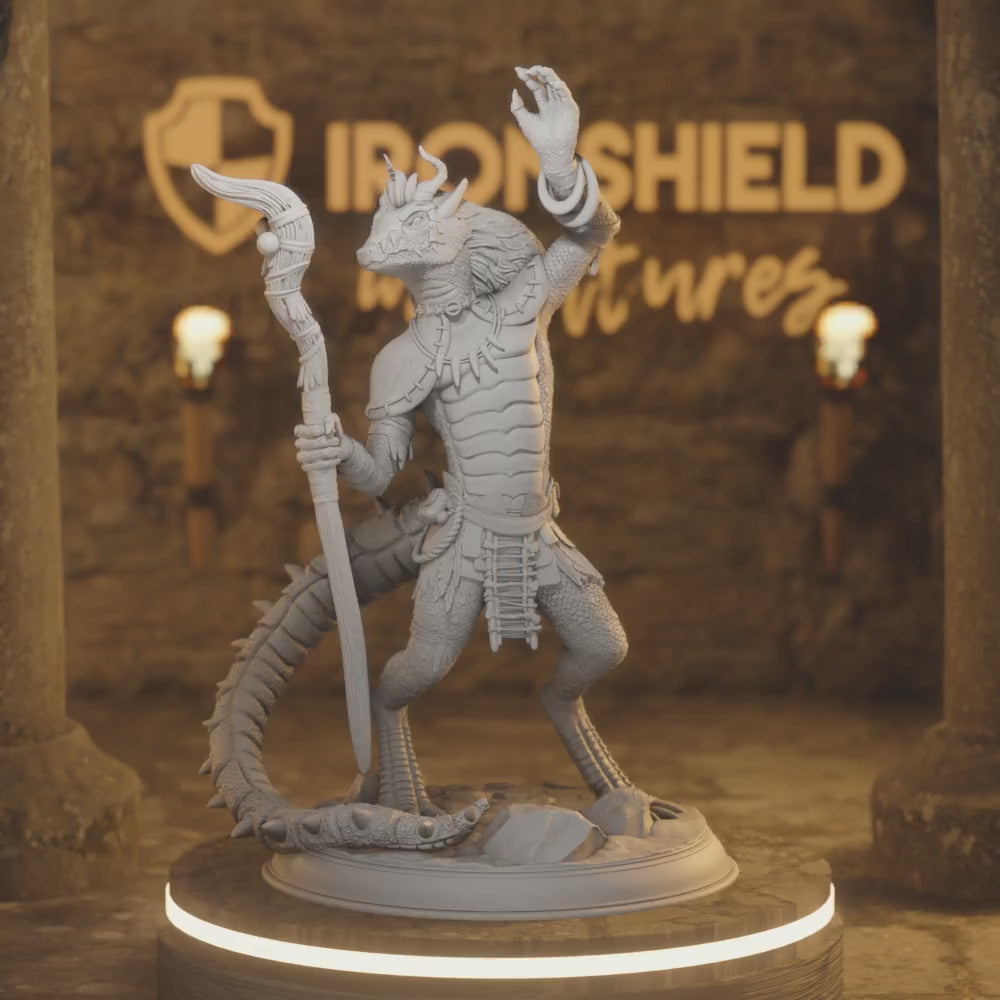 Beastfolk Dragonfolk Kobold Shaman - Bobodobo — 360° rotating view of 3D printed DnD miniature