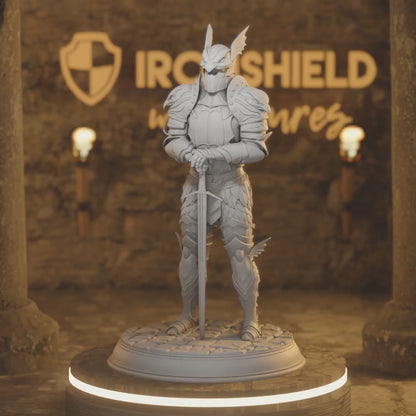 Vanguard Male High Elf Paladin Knight — 360° rotating view of 3D printed DnD miniature