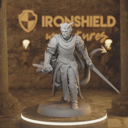 Hellswake Knight 1 Tiefling Fighter DnD miniature 3D printed resin tabletop RPG figure