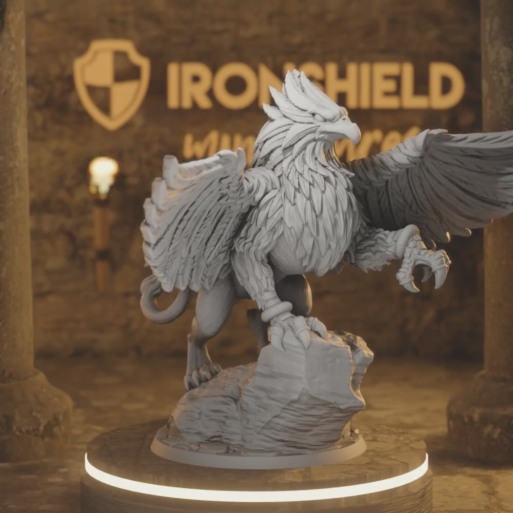 Skreek - Griffin Flying Wild Hunter Bird — 360° rotating view of 3D printed DnD miniature