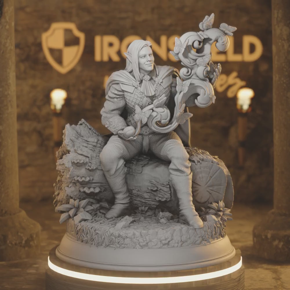 Divine Sorcerer of Wisdom Elf Bard - Tharador — 360° rotating view of 3D printed DnD miniature