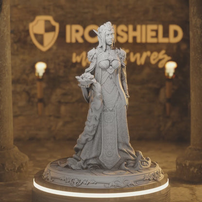 Goddess Sorcerer Cleric  - Cedhelieth Lady Elf — 360° rotating view of 3D printed DnD miniature
