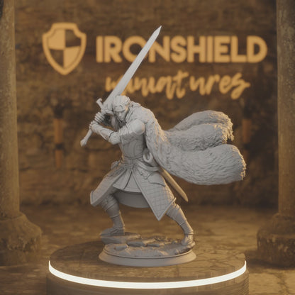 Harias Elf Fighter, Paladin DnD miniature 3D printed resin tabletop RPG figure