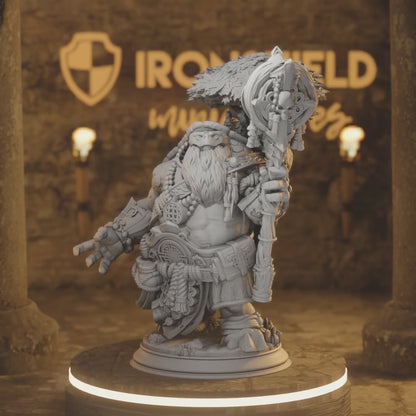 Tortle Wiseman Wizard - Elki the Wanderer
