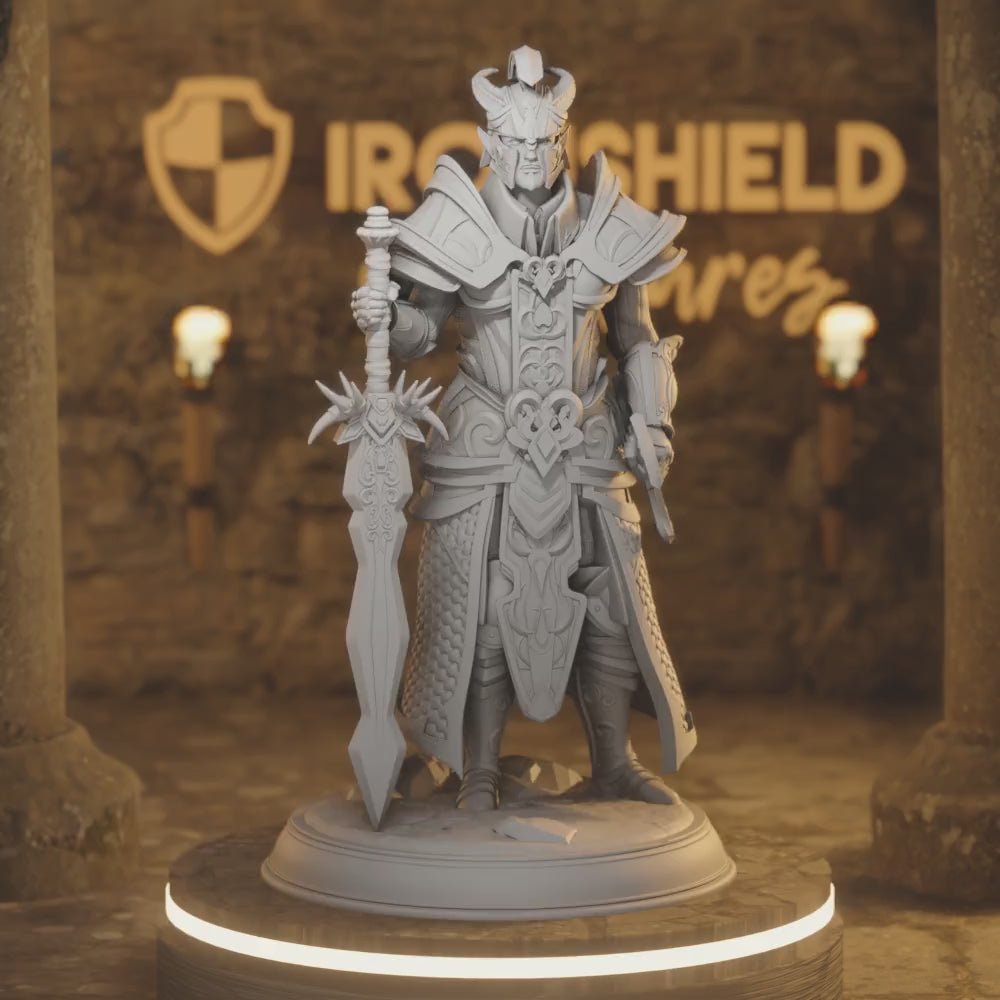 Valius High Elf Fighter Paladin Warrior — 360° rotating view of 3D printed DnD miniature