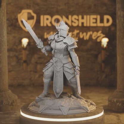 Vanguard Female High Elf Paladin Knight