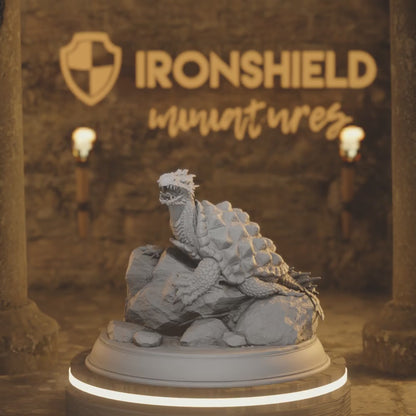 Dragon Turtleonster Hatchling - Testidi — 360° rotating view of 3D printed DnD miniature
