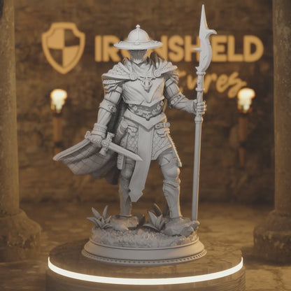 Inquisition Knight Hunter Paladin — 360° rotating view of 3D printed DnD miniature