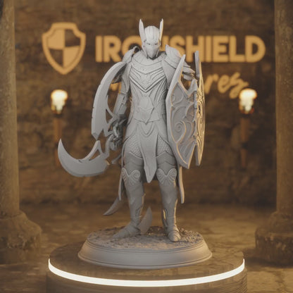Leacianan Guard High Elf Paladin Fighter — 360° rotating view of 3D printed DnD miniature