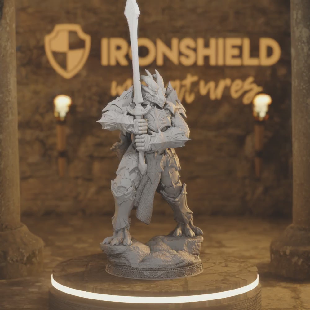 Dragonborn Paladin - Krimmdar Warrior — 360° rotating view of 3D printed DnD miniature