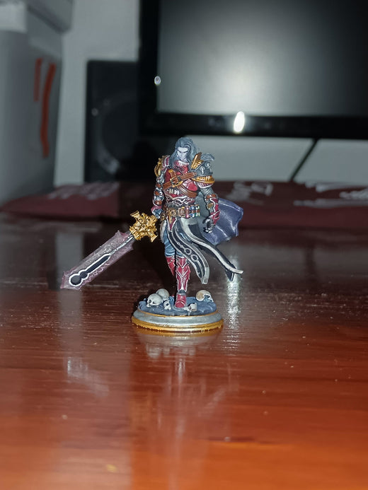 Vampire Knight - Ser Gaston Paladin - customer paint job