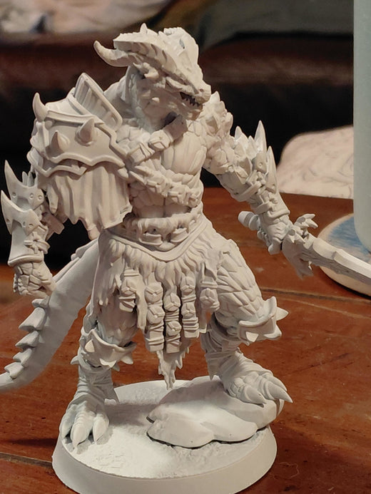Dreadscale Raider Variant 1 – Dragonborn Beast Fighter - customer paint job