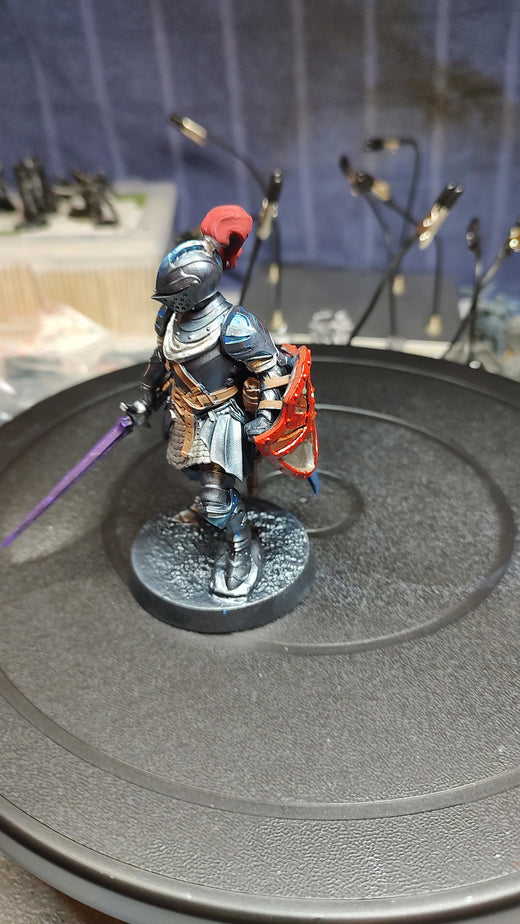 Dragonborn Warriors - Dragon Knight Spear Fighter - customer paint job