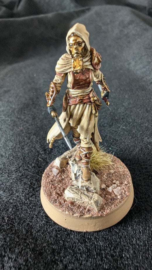 Delyna ro Unviel - Half-Elf Rogue Blade of Justice Penitent Crusader of Erdrydion - customer paint job